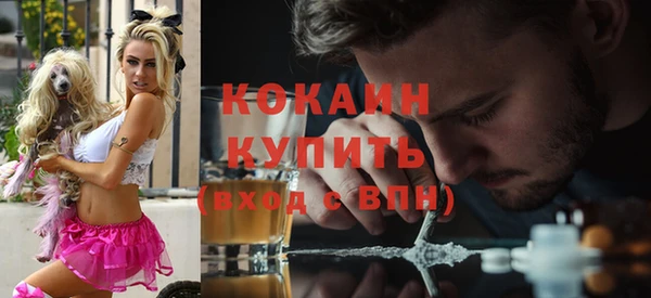 сатива Бородино