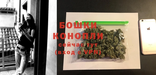 сатива Бородино