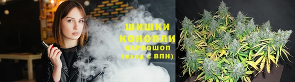 сатива Бородино