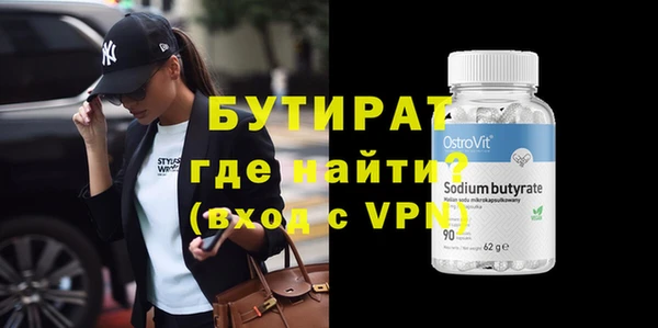 сатива Бородино