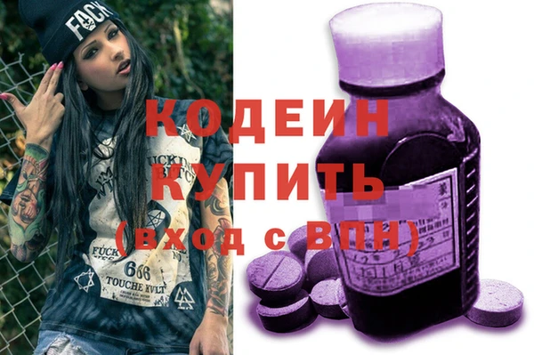 сатива Бородино