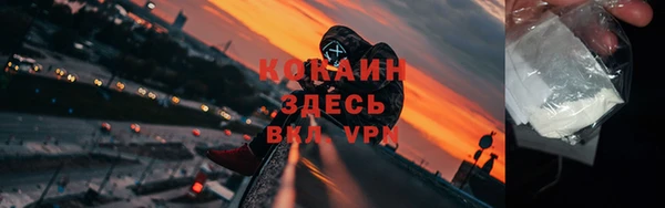 сатива Бородино