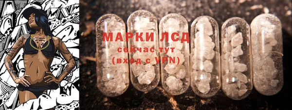 сатива Бородино