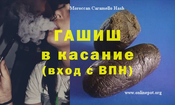 сатива Бородино