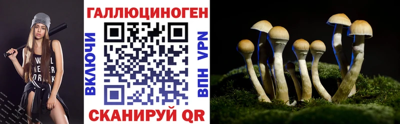 Купить закладки  Донецк  Псилоцибиновые грибы ЛСД 